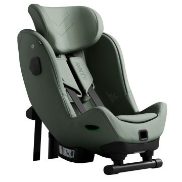 Scaun auto Axkid Minikid 4 Max Nordic Bloom Green
