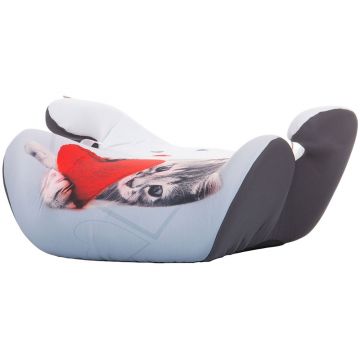 Inaltator auto Chipolino Monty 22-36 kg kitty Inaltator auto Chipolino Monty 22-36 kg kitty
