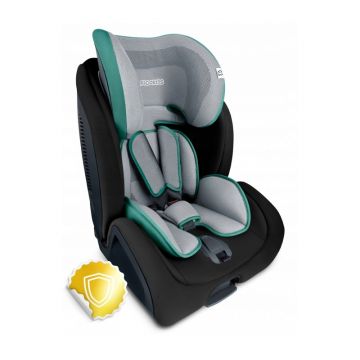 Scaun auto 9-36 Kg cu ISOFIX Ricokids Qway - Negru cu Albastru