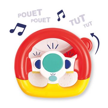 Panou activitati auto Ludi